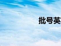 批號(hào)英文縮寫(批號(hào)) 批號(hào)英文縮寫(批號(hào))