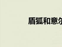 盾狐和意爾康哪個(gè)好（盾狐）