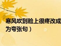 寒風(fēng)吹到臉上很疼改成夸張句怎么改（寒風(fēng)吹到臉上很痛改為夸張句）