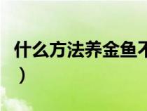 什么方法養(yǎng)金魚不會死（如何養(yǎng)金魚才不會死）
