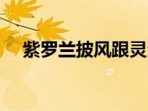 紫羅蘭披風(fēng)跟靈法哪個(gè)好(紫羅蘭披風(fēng)) 紫羅蘭披風(fēng)跟靈法哪個(gè)好(紫羅蘭披風(fēng))