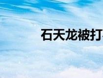石天龍被打事件真相（石天龍）