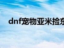 dnf寵物亞米撿東西快嗎（dnf亞米寵物）