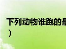 下列動(dòng)物誰(shuí)跑的最快呢（下列動(dòng)物誰(shuí)跑的最快）