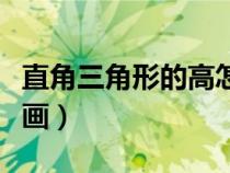 直角三角形的高怎么畫（鈍角三角形的高怎么畫）