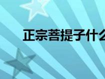 正宗菩提子什么顏色（菩提子是什么）