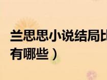 蘭思思小說結局比較好的小說（蘭思思的小說有哪些）