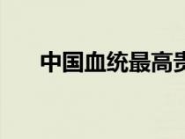 中國(guó)血統(tǒng)最高貴的人種（通古斯人種）