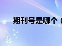 期刊號是哪個（期刊號是cn還是issn）