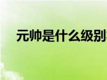 元帥是什么級(jí)別將領(lǐng)（元帥是什么級(jí)別）