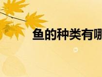 魚的種類有哪些 名字（魚的種類）