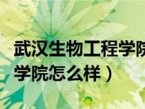 武漢生物工程學院怎么樣知乎（武漢生物工程學院怎么樣）