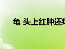 龜 頭上紅腫還癢怎么回事（龜頭紅腫）