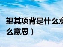 望其項(xiàng)背是什么意思解釋詞語(yǔ)(望其項(xiàng)背是什么意思) 望其項(xiàng)背是什么意思解釋詞語(yǔ)(望其項(xiàng)背是什么意思)