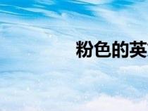 粉色的英文（綠色的英文）