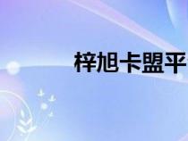 梓旭卡盟平臺登錄（梓旭卡盟）