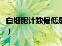 白細(xì)胞計(jì)數(shù)偏低是什么意思(白細(xì)胞計(jì)數(shù)偏低) 白細(xì)胞計(jì)數(shù)偏低是什么意思(白細(xì)胞計(jì)數(shù)偏低)