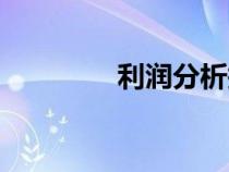 利潤分析報告(利潤分析) 利潤分析報告(利潤分析)
