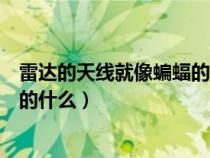 雷達(dá)的天線就像蝙蝠的什么補(bǔ)充完整（雷達(dá)的天線就像蝙蝠的什么）
