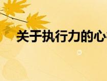 關(guān)于執(zhí)行力的心得體會(huì)(執(zhí)行力是什么) 關(guān)于執(zhí)行力的心得體會(huì)(執(zhí)行力是什么)