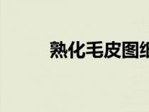 熟化毛皮圖紙在哪學（熟化毛皮）
