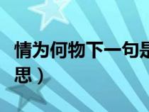情為何物下一句是什么歌（情為何物是什么意思）
