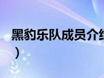 黑豹樂隊(duì)成員介紹(秦勇時(shí)期)（黑豹樂隊(duì)成員）