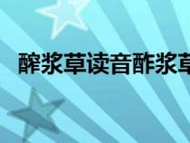 醡漿草讀音酢漿草的圖片（醡漿草怎么讀）