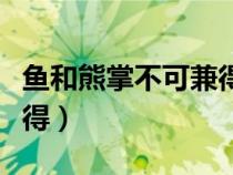 魚和熊掌不可兼得出自哪里（魚和熊掌不可兼得）