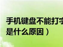 手機(jī)鍵盤(pán)不能打字是什么原因(鍵盤(pán)不能打字是什么原因) 手機(jī)鍵盤(pán)不能打字是什么原因(鍵盤(pán)不能打字是什么原因)