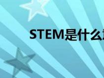 STEM是什么意思(steam是什么) STEM是什么意思(steam是什么)