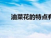 油菜花的特點(diǎn)有哪些（油菜花的特點(diǎn)）