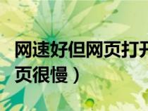 網(wǎng)速好但網(wǎng)頁(yè)打開(kāi)很慢(網(wǎng)速很快但是打開(kāi)網(wǎng)頁(yè)很慢) 網(wǎng)速好但網(wǎng)頁(yè)打開(kāi)很慢(網(wǎng)速很快但是打開(kāi)網(wǎng)頁(yè)很慢)