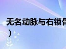 無名動脈與右鎖骨下動脈硬化斑塊（無名動脈）