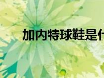 加內特球鞋是什么牌子（加內特戰(zhàn)靴）