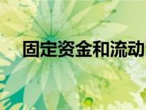 固定資金和流動資金指什么（固定資金）