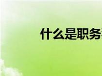 什么是職務犯罪（什么是職務）