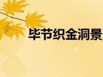 畢節(jié)織金洞景點(diǎn)介紹（畢節(jié)織金洞）
