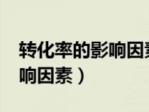 轉(zhuǎn)化率的影響因素主要有哪些?（轉(zhuǎn)化率的影響因素）
