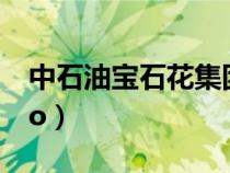 中石油寶石花集團董事長（中石油寶石花logo）