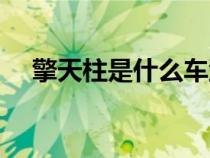 擎天柱是什么車(chē)型號(hào)(擎天柱是什么車(chē)) 擎天柱是什么車(chē)型號(hào)(擎天柱是什么車(chē))