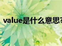 value是什么意思?（value是什么怎么解決）