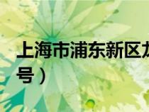 上海市浦東新區(qū)龍陽路2345號（龍陽路2345號）