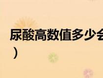 尿酸高數(shù)值多少會痛風（尿酸偏高多少是痛風）