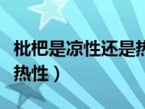 枇杷是涼性還是熱性的水果(枇杷是涼性還是熱性) 枇杷是涼性還是熱性的水果(枇杷是涼性還是熱性)