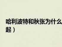 哈利波特和秋張為什么接吻（哈利波特為什么沒有和秋張一起）