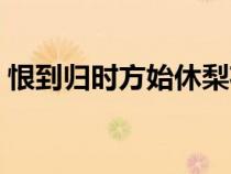 恨到歸時方始休梨花煙雨（恨到歸時方始休）