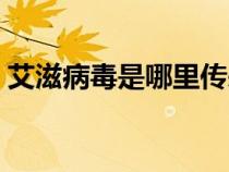 艾滋病毒是哪里傳來的（艾滋病毒來自何方）