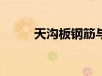 天溝板鋼筋與梁的設置（天溝板）