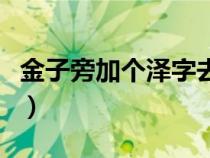 金子旁加個澤字去三點水念啥（金子旁加個澤）